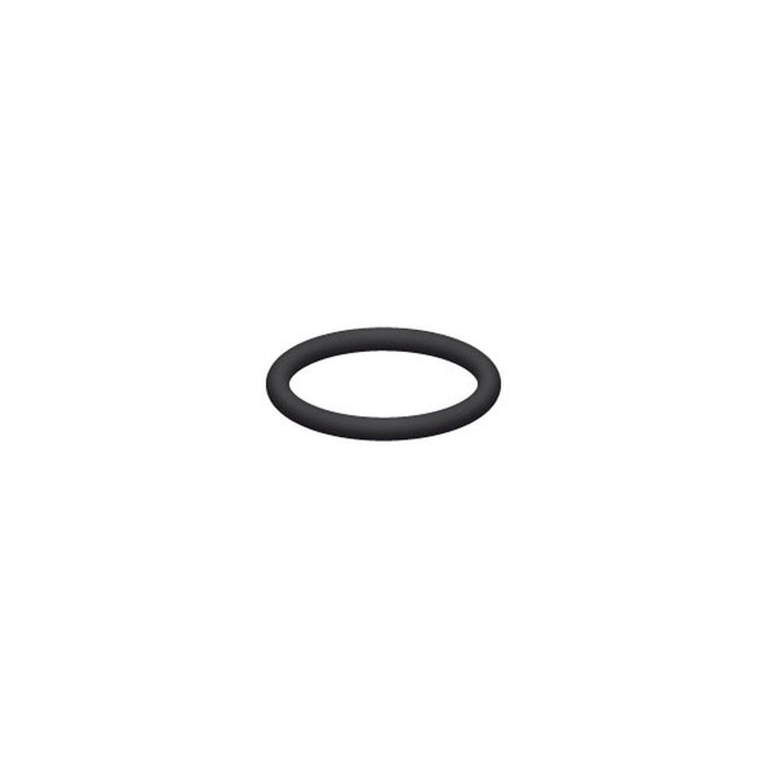 O-Ring für RS-Ventil V2A