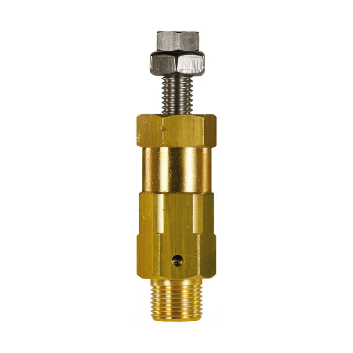 Druckbegrenzungsventil RM-250 24-240-60°