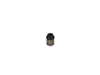 Original FILTREC Saugfilter (Anschraubelement) FS160B5T60