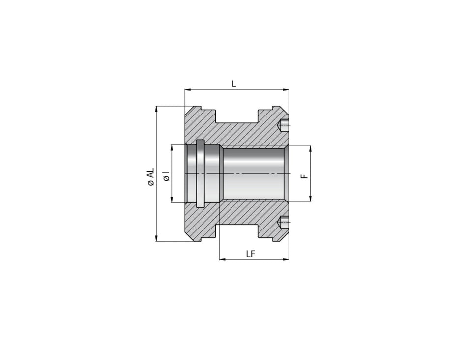 Schraubkolben 250 bar Serie Ø50/21,1mm